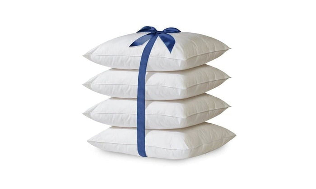 2-Pack Hypoallergenic Down-Alternative, Throw Pillow Inserts (20" x 20")
