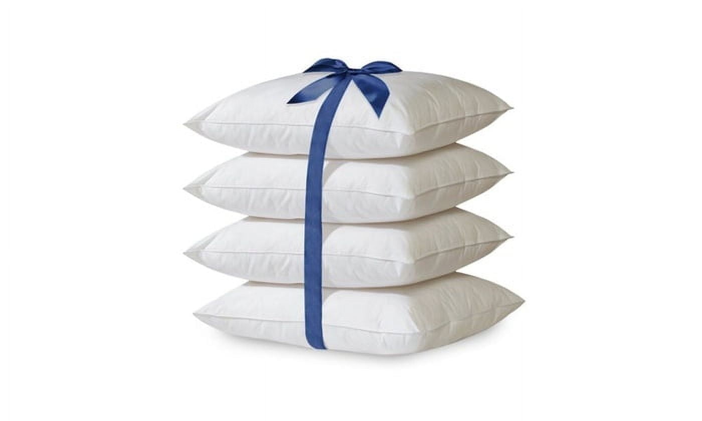 2-Pack Hypoallergenic Down-Alternative, Throw Pillow Inserts (20" x 20")