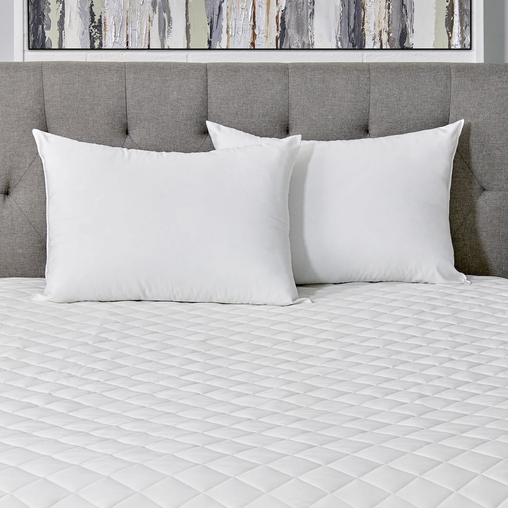 Cotton Fresh Bed Pillow, S/Q, White- 2 Pack Antimicrobial Allergy Defense Fabric