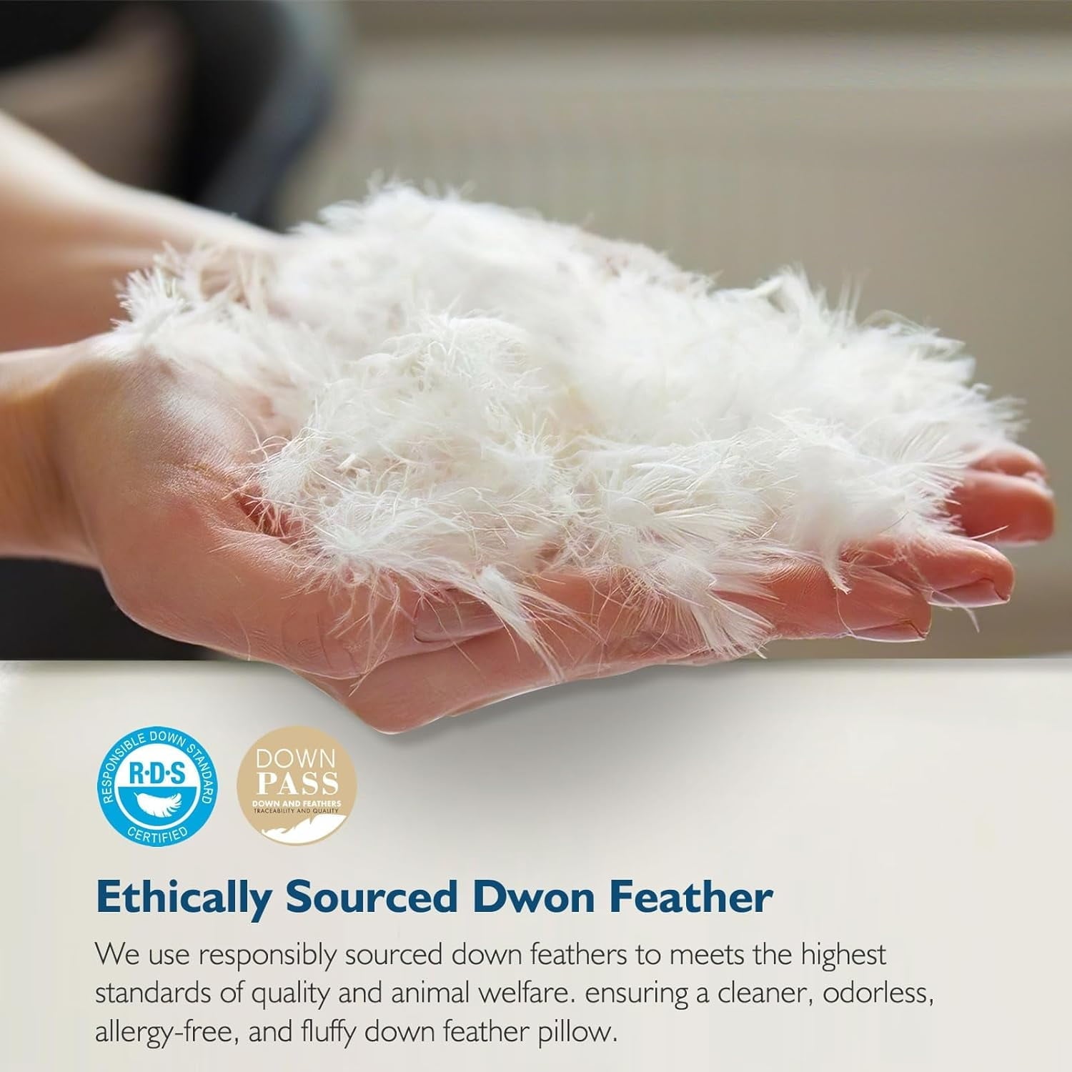 Hypoallergenic 3‑Chamber Goose Feather Down Core Bed Pillows, Standard Size Set of 2, With Microfiber Surround, Soft-...