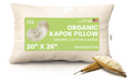 Kapok 20x26" Standard Bed Pillow – Organic Cotton Fabric Soft Sleeping Pillow - Made in USA