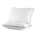 Bed Pillows for Sleeping, Queen Size Set of 2, Sandwich Mesh with Breathable Sides, Premium Medium pillows for Back, ...
