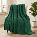 Fuzzy Fleece 50"x70" Throw Blanket for Couch, Fluffy Warm Soft Jacquard Blankets for Fall Winter, Lightweight and Coz...