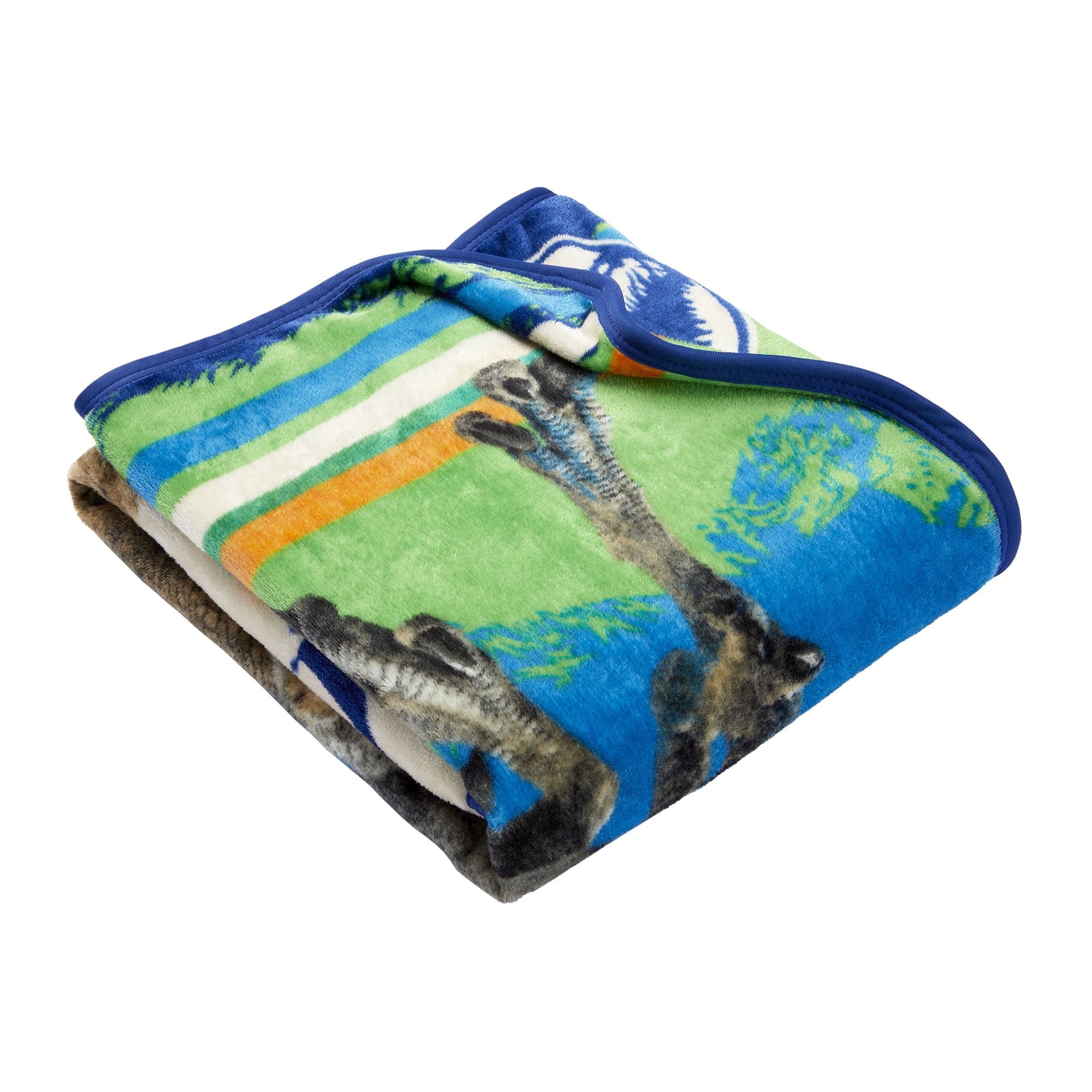 Kids Silky Soft Plush Throw Blanket, 40" x 50"