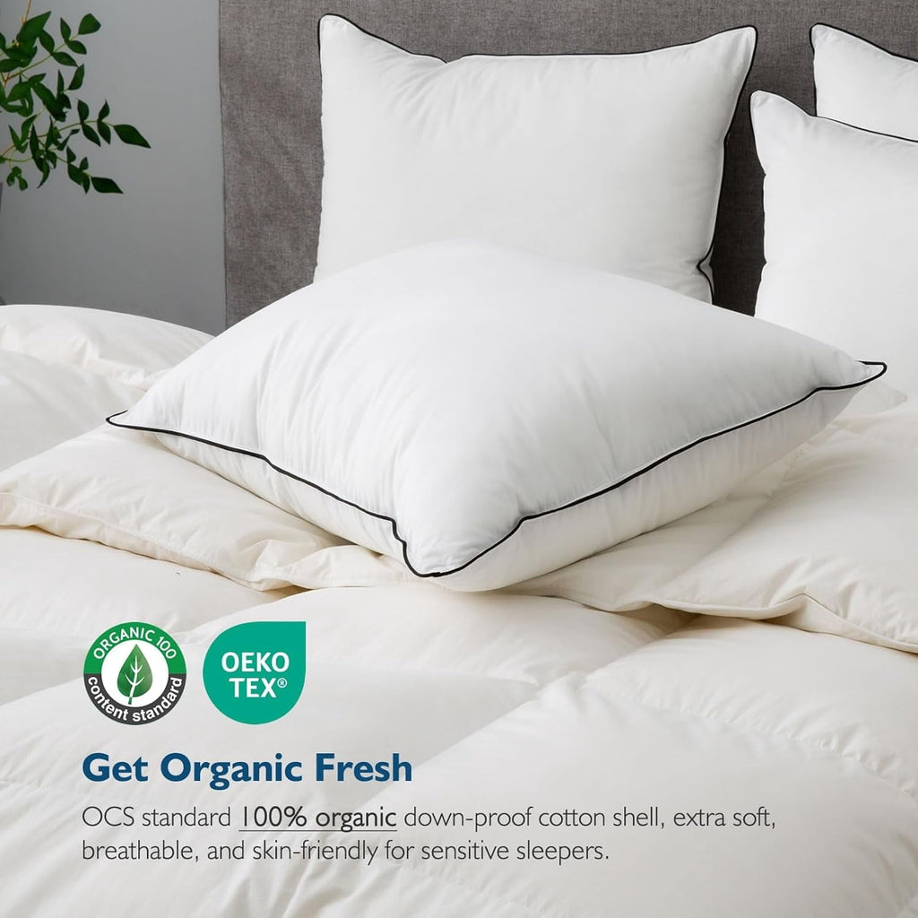 Hypoallergenic 3‑Chamber Goose Feather Down Core Bed Pillows, Standard Size Set of 2, With Microfiber Surround, Soft-...