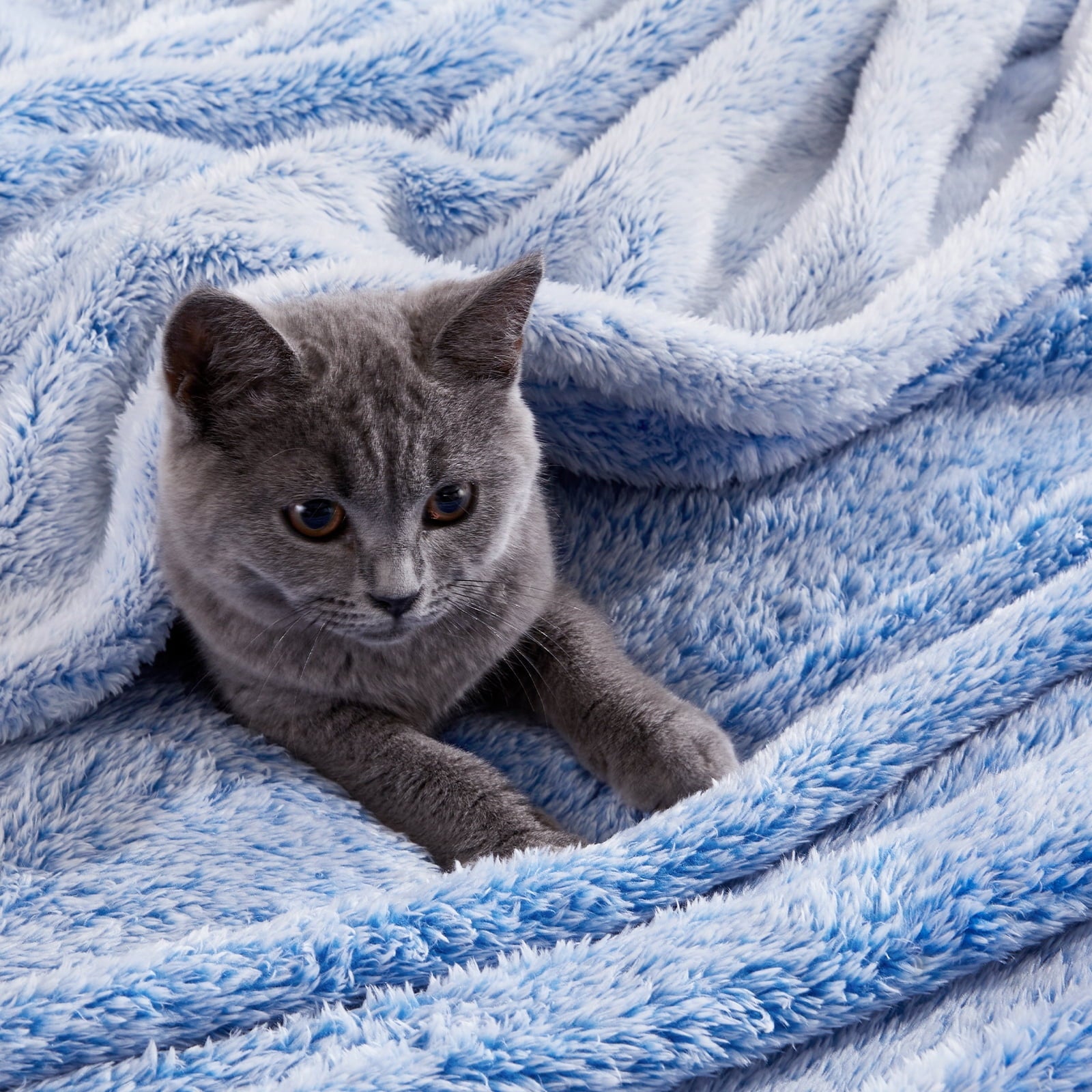 Plush Fuzzy Large Fleece Throw Blanket (50" x 70", Mixed Cobalt Blue)- Soft, Warm and Lightweight